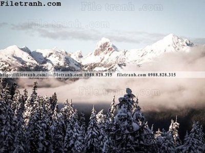 File in ấn phong canh rung suong mu 153 chuyên nghiệp