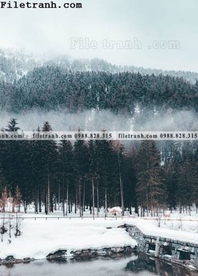 Tải file gốc phong canh rung suong mu 157 (bản PSD) đầy đủ layer