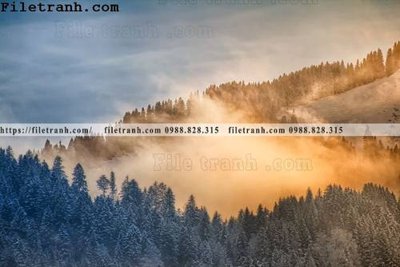 Tải file phong canh rung suong mu 158 (PSD) cho in ấn quảng cáo