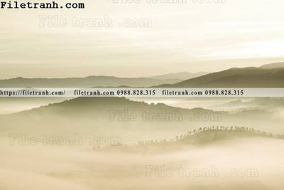 Tệp tin gốc phong canh rung suong mu 163 (chất lượng cao) phong canh rung suong mu 163