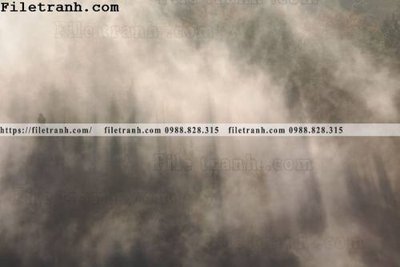 Ảnh gốc file in lụa phong canh rung suong mu 165 chi tiết