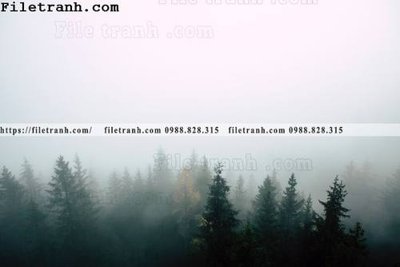 File tranh quảng cáo phong canh rung suong mu 166 (download file gốc)