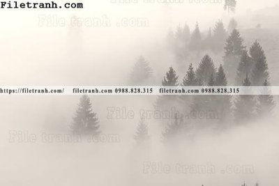 Tải về file tranh gốc phong canh rung suong mu 167 (để in quảng cáo)