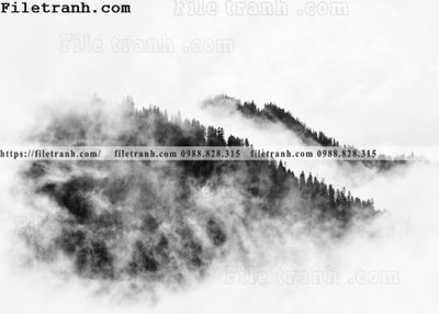 Download file gốc phong canh rung suong mu 168 (độ nét cao)