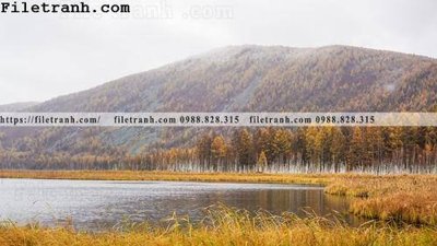 Tải file phong canh thao nguyen Mong Co 111 (gốc) in ấn chất lượng