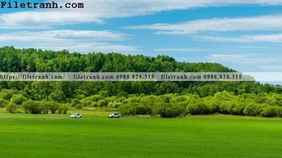 Hình ảnh file gốc in trần nhà phong canh thao nguyen Mong Co 128