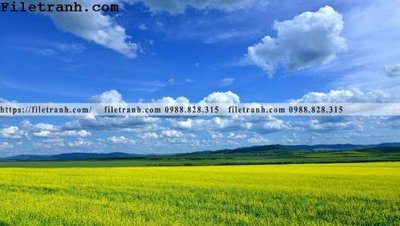 Hình ảnh gốc phong canh thao nguyen Mong Co 134 (để in khổ lớn)