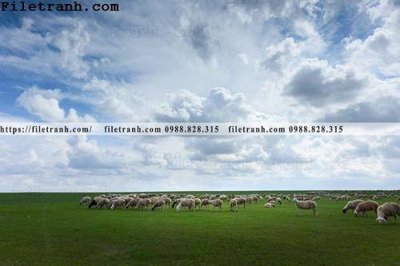 Download file gốc phong canh thao nguyen Mong Co 145 (dùng cho in ấn)