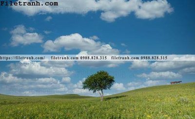 File gốc phong canh thao nguyen Mong Co 147 (in tráng gương) sang trọng