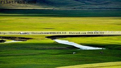 File PSD phong canh thao nguyen Mong Co 172 (bản gốc) độ phân giải cao