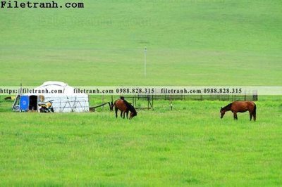 Tải file phong canh thao nguyen Mong Co 191 (PSD) cho in tranh kính