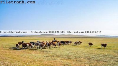 File in trần phong canh thao nguyen Mong Co 198 (bản gốc) phong cảnh