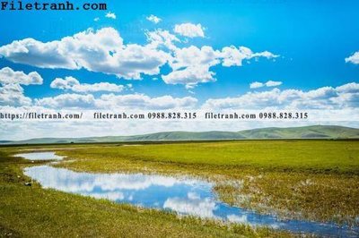 Tải file gốc in lụa phong canh thao nguyen Mong Co 201 siêu nét