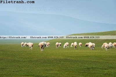 Tải file phong canh thao nguyen Mong Co 218 (gốc) in nhanh