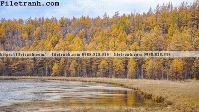 File in lụa phong canh thao nguyen Mong Co 223 (chất lượng cao) phong canh thao nguyen Mong Co 223