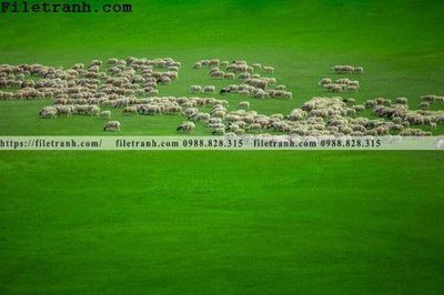 File tranh phong canh thao nguyen Mong Co 226 (gốc) in vải canvas