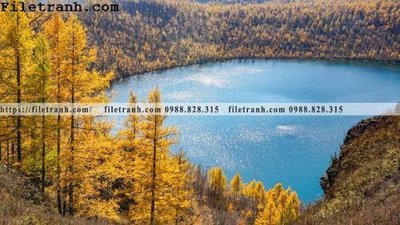 File gốc phong canh thao nguyen Mong Co 228 (trang trí) phòng làm việc