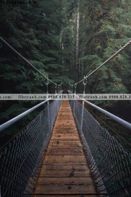 File in lụa phong canh tranh don dang dung 503 (phong cảnh) phong canh tranh don dang dung 503