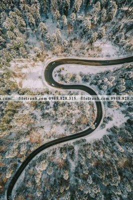 Ảnh gốc phong canh tranh don dang dung 510 (độ nét cao) in mica