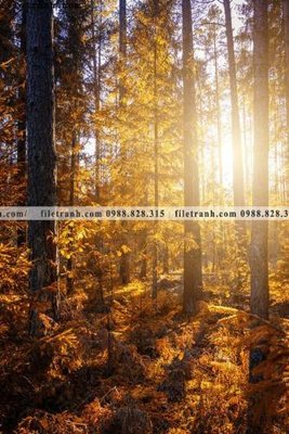 Mua file ảnh gốc phong canh tranh don dang dung 523 (chất lượng cao)