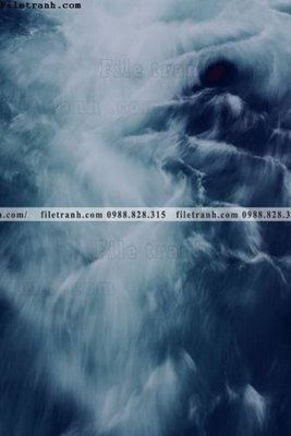 File in mica phong canh tranh don dang dung 529 (bản gốc) làm vách ngăn