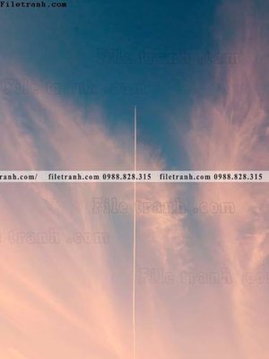 File in mica phong canh tranh don dang dung 550 (bản gốc) sắc sảo