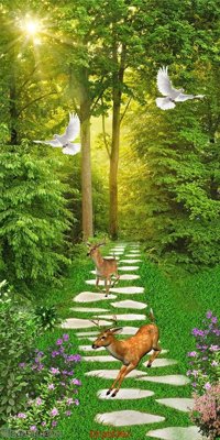 Tải file File phong thủy đứng thác nước PTD362 (gốc) in tranh tráng gương