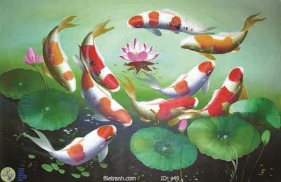 Download file gốc Tranh cửu ngư quần hội sen cá S49 (độ nét cao)