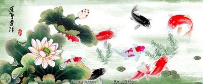 File in trần Tranh cửu ngư quần hội sen cá S85 (bản gốc) hoa văn