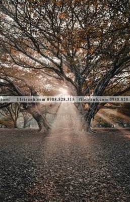 File gốc tran don 1 tam phong canh 118 (ảnh chi tiết) để in ấn