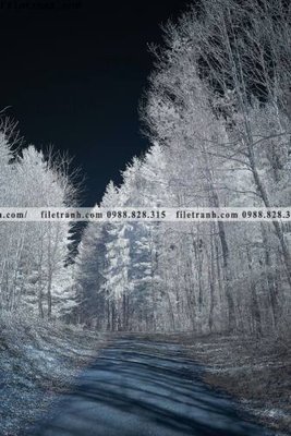 Tải file tran don 1 tam phong canh 125 (PSD) cho in tranh 3D