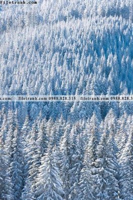 File gốc in ấn tran don 1 tam phong canh 132 (sẵn sàng tải về)