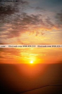 Tải file tran don 1 tam phong canh 135 (ảnh gốc) file AI/EPS