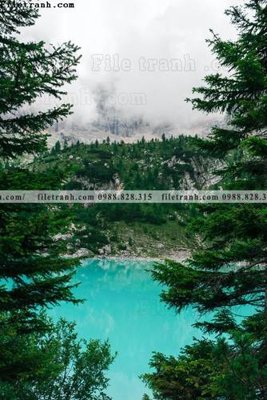 File gốc tran don 1 tam phong canh 147 (in 3D) cho trang trí