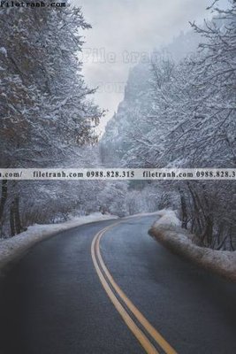 File tranh tran don 1 tam phong canh 156 (bản gốc) treo phòng ăn