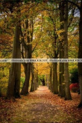 File PSD tran don 1 tam phong canh 169 (bản gốc) đã tách nền