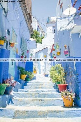 File in trần tran don 1 tam phong canh 186 (bản gốc) hoa văn