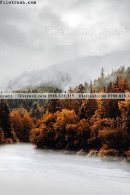 File gốc tran don 1 tam phong canh 189 (in lụa) tranh phong thủy