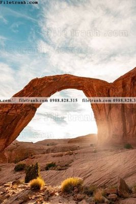 Tải file tran don 1 tam phong canh 207 (PSD) cho in tranh kính