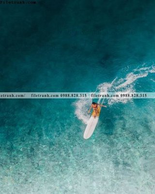 Hình ảnh file gốc tran don 1 tam phong canh 233 cho in UV