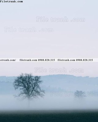 File gốc tran don 1 tam phong canh 247 (in ấn) không giới hạn