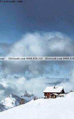 File PSD tran don 1 tam phong canh 248 (bản gốc) chất lượng nhất