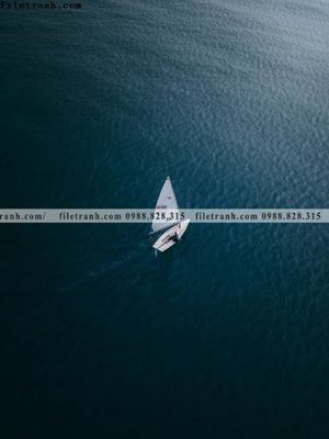 Hình ảnh file gốc in trần nhà tran don 1 tam phong canh 249