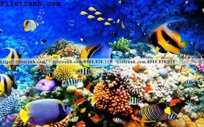 File in trần tranh 3D the gioi duoi nuoc dai duong 115 (bản gốc 3D) sống động