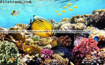 Tải về file gốc tranh 3D the gioi duoi nuoc dai duong 119 (dùng cho in quảng cáo)