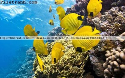 File ảnh gốc tranh 3D the gioi duoi nuoc dai duong 121 (chuyên in mica)