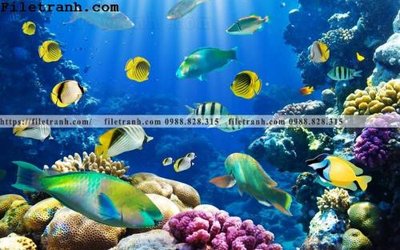 File tranh gốc tranh 3D the gioi duoi nuoc dai duong 147 (bản đẹp) độc quyền