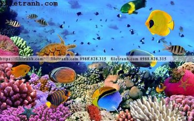 Tải file tranh 3D the gioi duoi nuoc dai duong 148 (gốc) làm file thiết kế