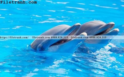 File gốc in ấn tranh 3D the gioi duoi nuoc dai duong 150 (sẵn sàng tải về)