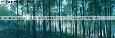 Tải file gốc tranh banner dau giuong bang su pha le 213 (bản PSD) đầy đủ layer